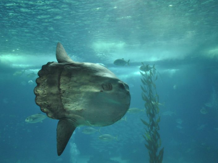 Photo Portfolio Post 3