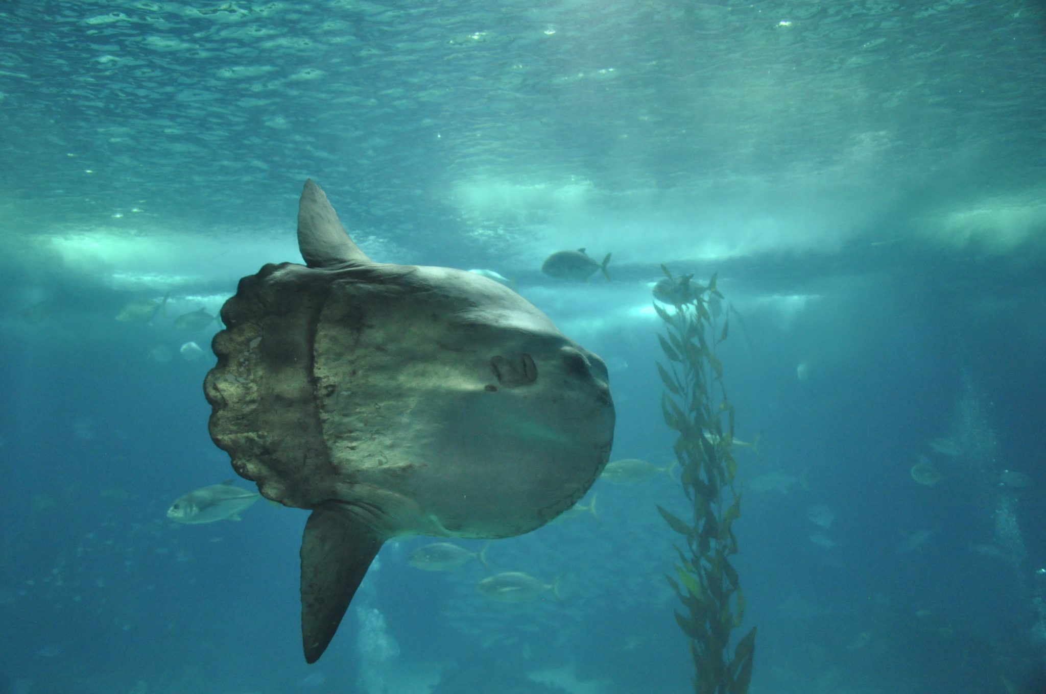 Photo Portfolio Post 3